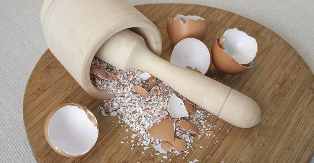 Egg shells as a calcium source